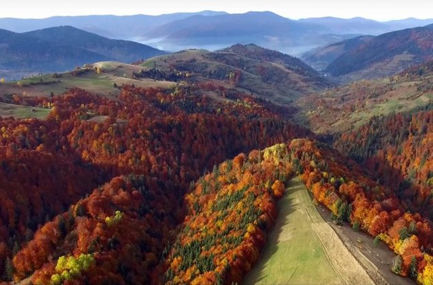 В Сети появилось впечатляющее видео про красоту осенних Карпат