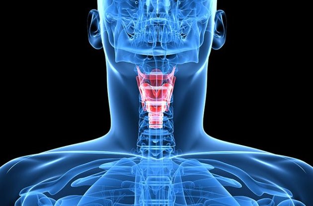 Найважчою частиною процесу було відтворення унікального м'язового будови голосових зв'язок