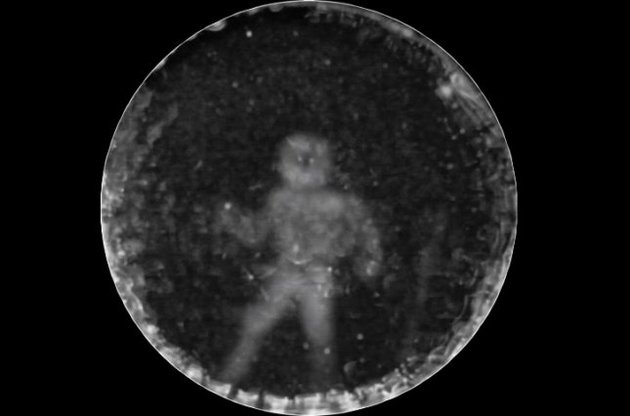 Человек глазами дельфина