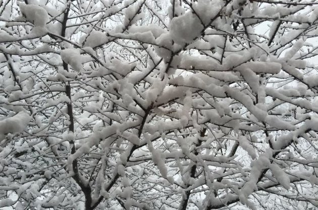 На вихідних у Києві знову випаде сніг