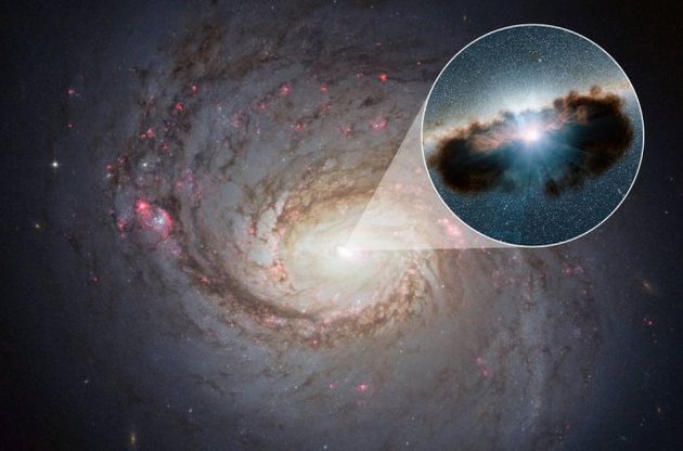 Астрономы сняли "космический пончик" со сверхмассивной черной дырой в центре