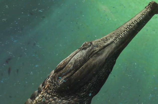 Палеонтологи обнаружили останки гигантского доисторического чудовища