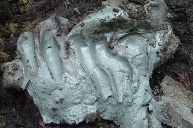 Глина з озера Кисамит має протимікробні властивості