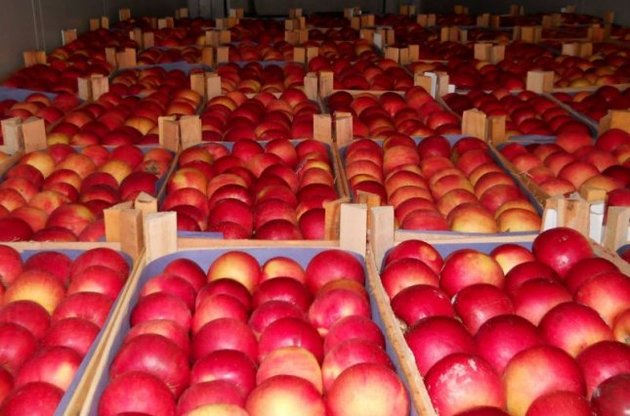 Для того, щоб овочі не зіпсувалися, посилки не дуже великі, але вони надходять досить часто