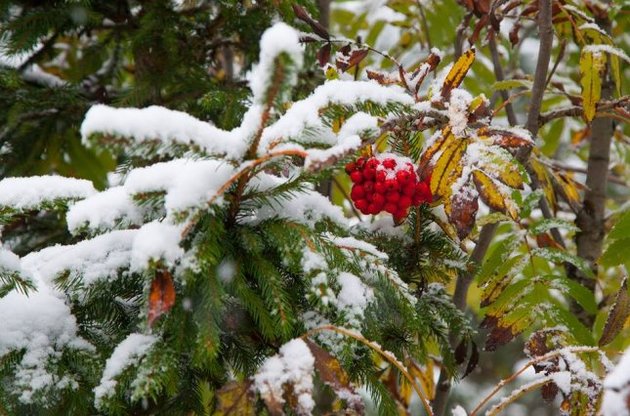 На вихідних буде тепло і сонячно