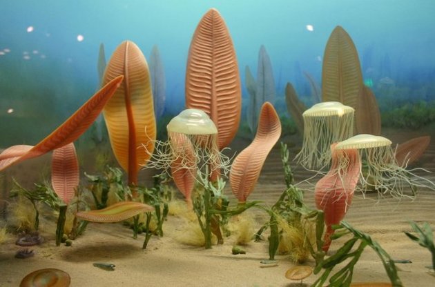 Фауна едіакарію вимерла через зміну магнітних полюсів Землі