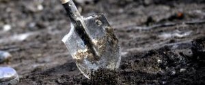 ФГИ в ближайшее время продаст 21 предприятие аграрного сектора