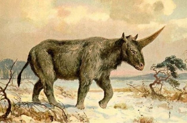 "Сибирские единороги" могли существовать во времена древних людей