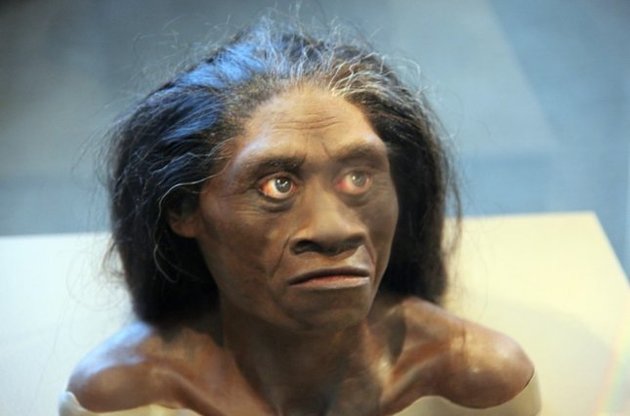 "Хоббиты" из Индонезии оказались на десятки тысяч лет старше предполагаемого возраста