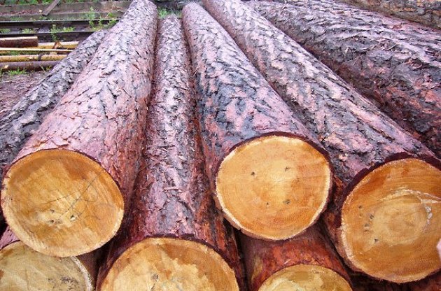 Вивіз круглого лісу є одним з питань, від яких залежить надання подальшої макрофінансової допомоги Україні