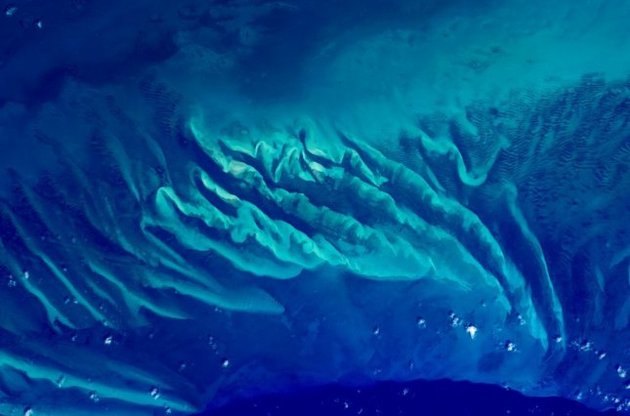 Астронавт NASA опубликовал фото коралловых рифов из космоса