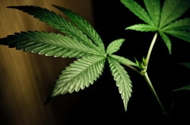 Канада легализирует марихуану в 2017 году