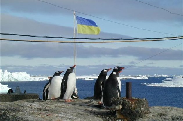Українські полярники візьмуть участь у дослідженнях з вивчення пінгвінів