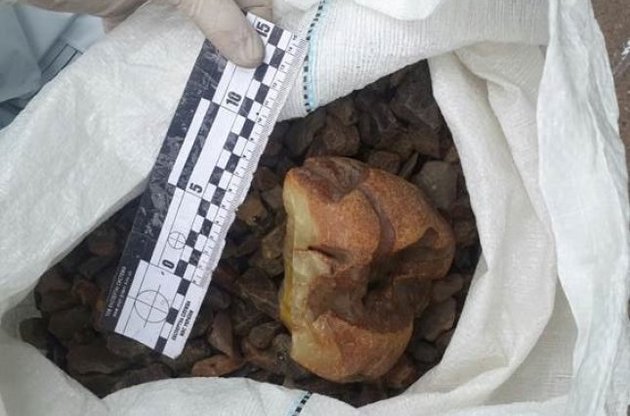 СБУ изъяла в Житомирской области янтарь и драгоценные камни на 4 млн гривень