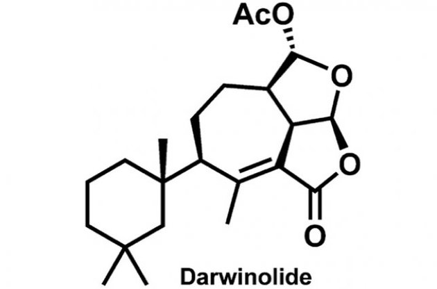 Дарвинолід здатний знищити біоплівки золотистого стафілокока
