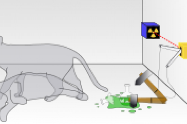 Ученым удалось получить &quot;крупного&quot; кота Шредингера