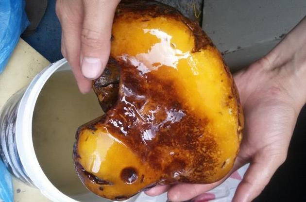 Камень янтаря предварительно оценили в 375 тысяч гривень