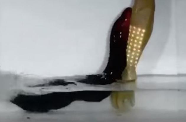 Вугри вистрибують з води і б'ють свою жертву струмом