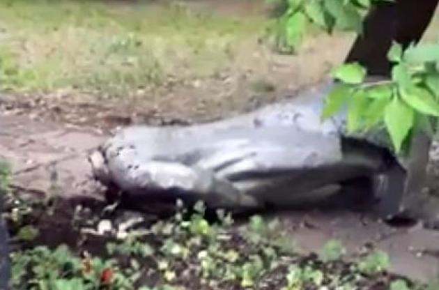 Стихійна декомунізація дісталася до Москви