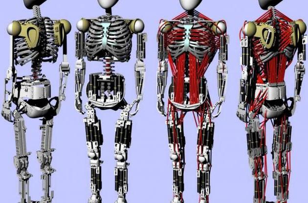 Японские ученые создали искусственный скелет с мышцами
