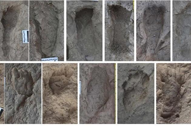 Дослідники виявили сліди Homo erectus віком 1,5 мільйона років