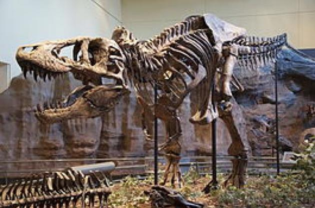 Палеонтологи обнаружили новый вид динозавра с короткими передними лапами