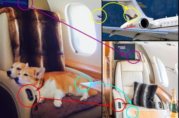 Собаки Шувалова летают за границу на бизнес-джете защищать честь России на международных выставках