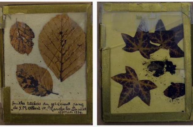 Генетики проаналізували зразки крові Альберта І