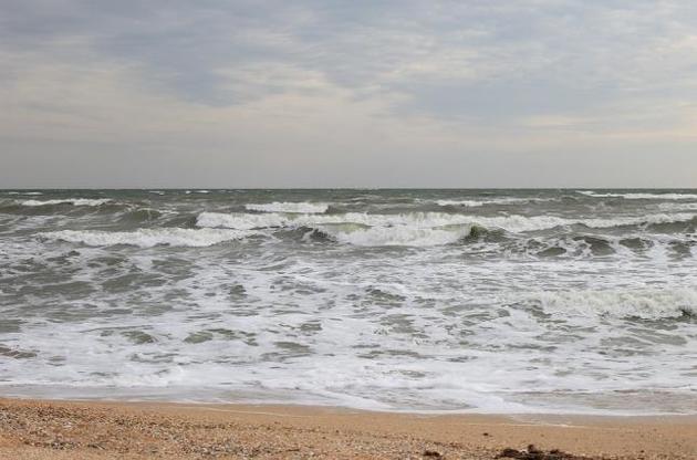 Одесские биологи предложили очищать морскую воду с помощью мидий
