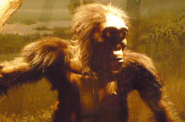 Люсі померла через падіння з дерева