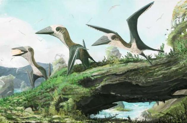 Розмах крил виявленого птерозавра становив 1,5 метра