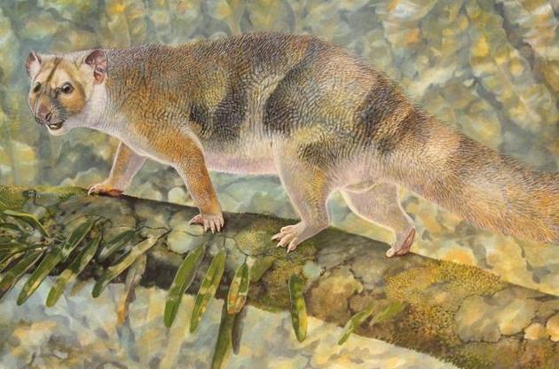 Карликовые львы обитали на деревьях и охотились на мелких птиц и ящериц