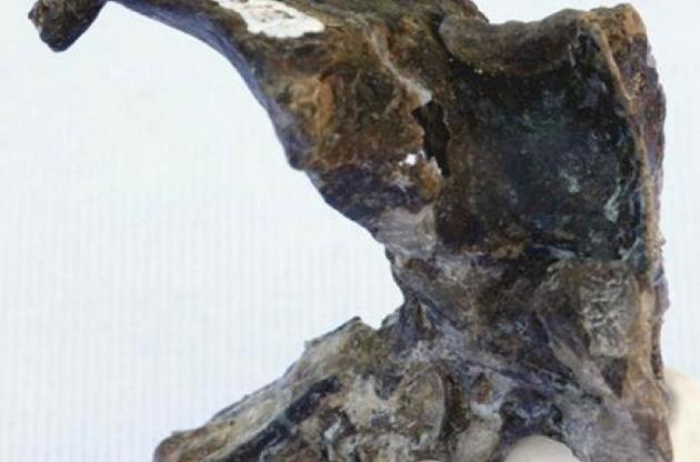 Ученые обнаружили в Аргентине останки птерозавра возрастом 170 миллионов лет