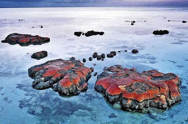 Обнаружены древнейшие следы жизни на Земле