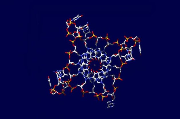 Генетики успішно застосували "метод трьох батьків"