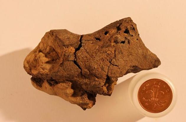 Палеонтологи вперше виявили скам'янілий мозок динозавра
