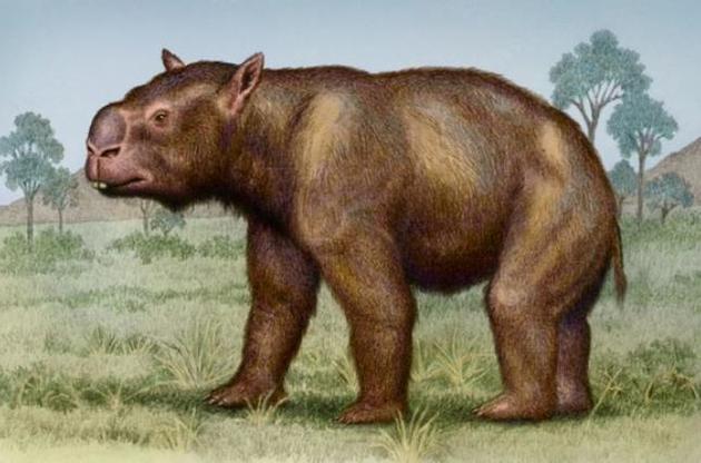 Деятельность древних людей стала причиной вымирания крупных животных Австралии – ученые