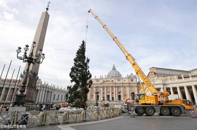 В Ватикане установили рождественскую ель