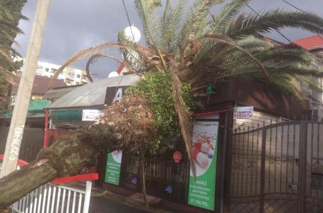 Огромные волны и ветер уничтожают деревья