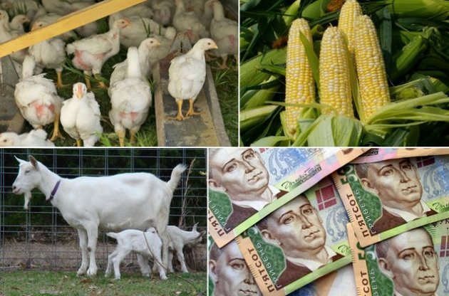 Уряд введе режим відшкодування ПДВ для окремих агровиробників