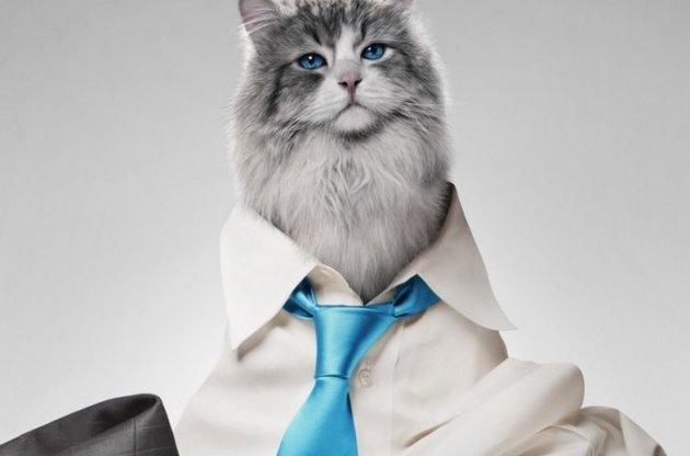 &quot;Девять жизней&quot; стал худшим фильмом 2016 года