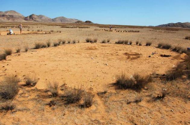 Ведьмины круги появляются в результате влияния естественных процессов