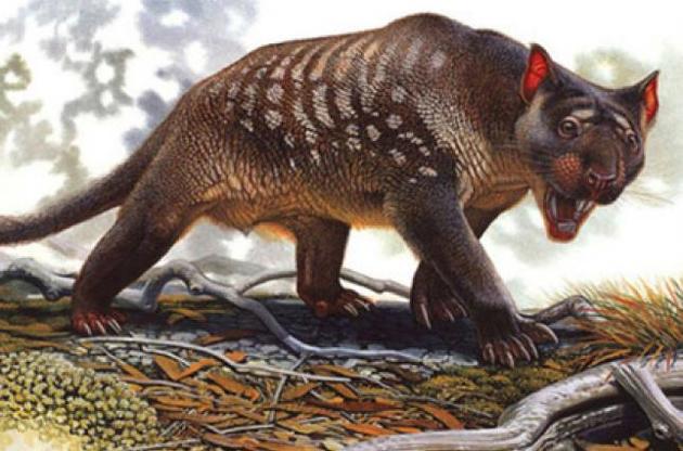 Ученые назвали причину вымирания древних гигантских животных