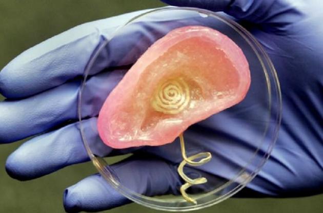 Надруковані на 3D-принтері органи з&#039;являться у клініках в найближчому майбутньому.