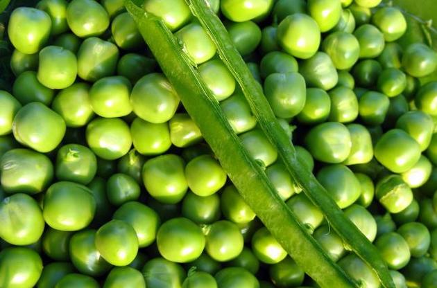 Україна лідирує з виробництва гороху.