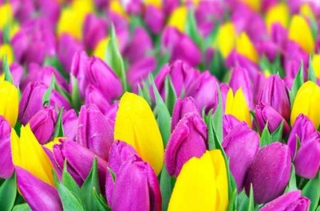 На жителів і гостей столиці чекають різноманітні заходи 8 березня