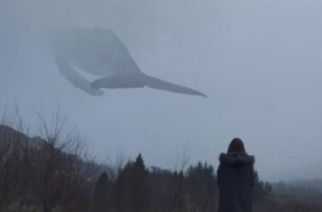 В группы "синих китов" вступили 35 тысяч украинских подростков, однако самоубийств больше не стало