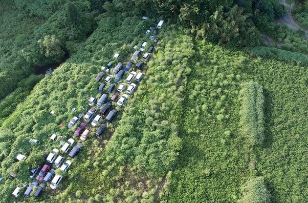 Дикі свині заполонили забруднені радіацією міста довкола АЕС &quot;Фукусіма-1&quot;