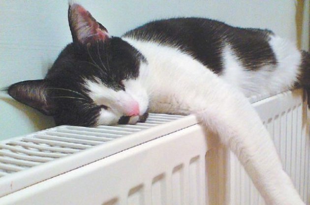 Рада поддержала создание Фонда энергоэффективности