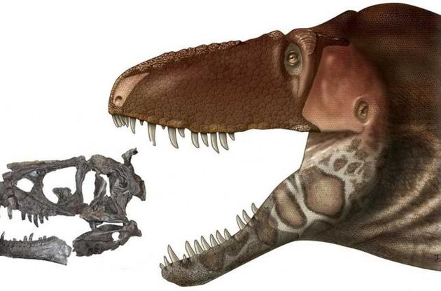 Палеонтологи обнаружили предшественника тираннозавров